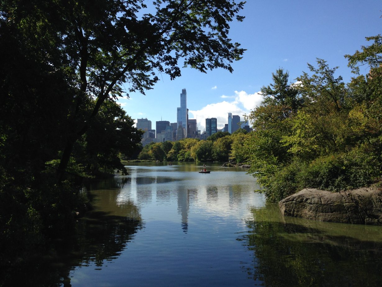 "Central Park" by Steve Souza, Photo Contest Submission