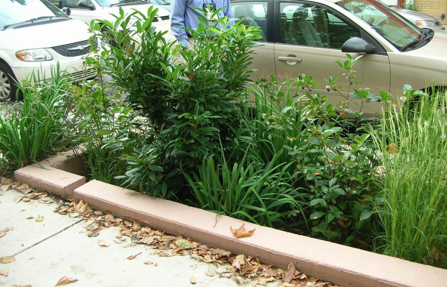 Stormwater planters installed by the Philadelphia Water Department