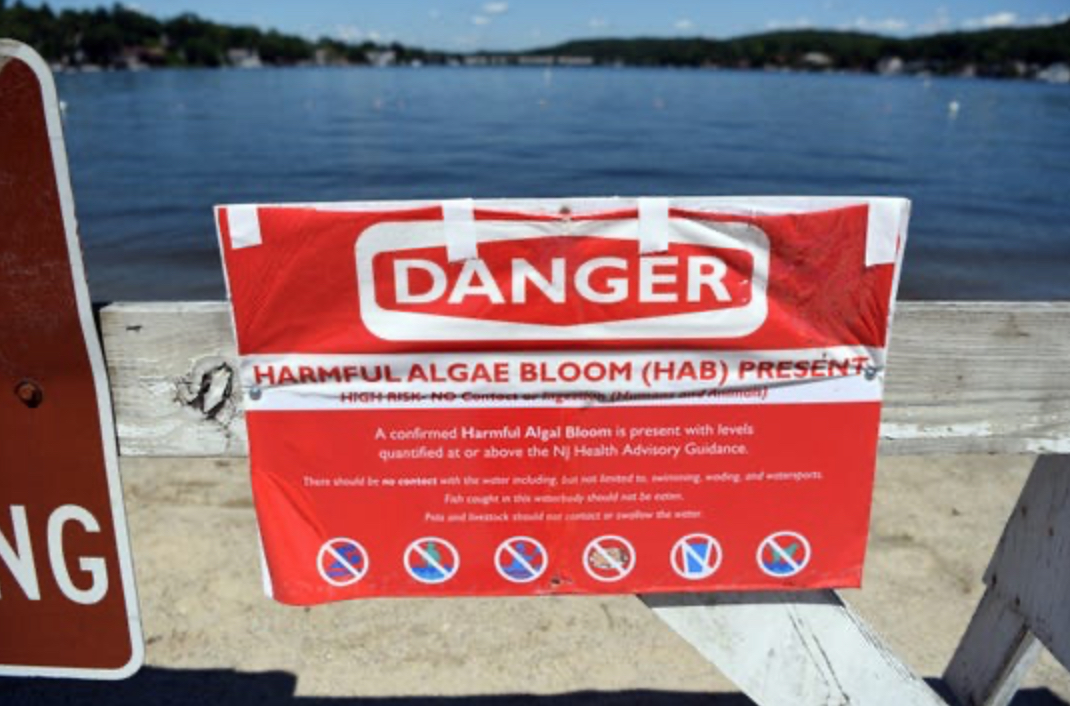 Signs on the closed beach at Hopatcong State Park warn residents of the Harmful Algae Bloom at Lake Hopatcong on July 2019, in Landing, NJ. (Photo by: Danielle Parhizkaran of NorthJersey.com