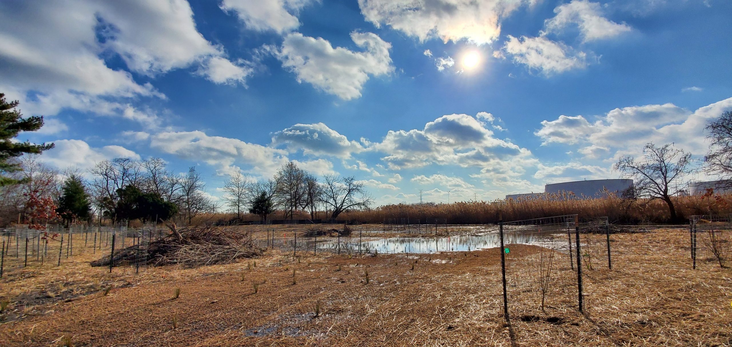 Setting the Precedent Blue Acres Floodplain Restoration in Linden