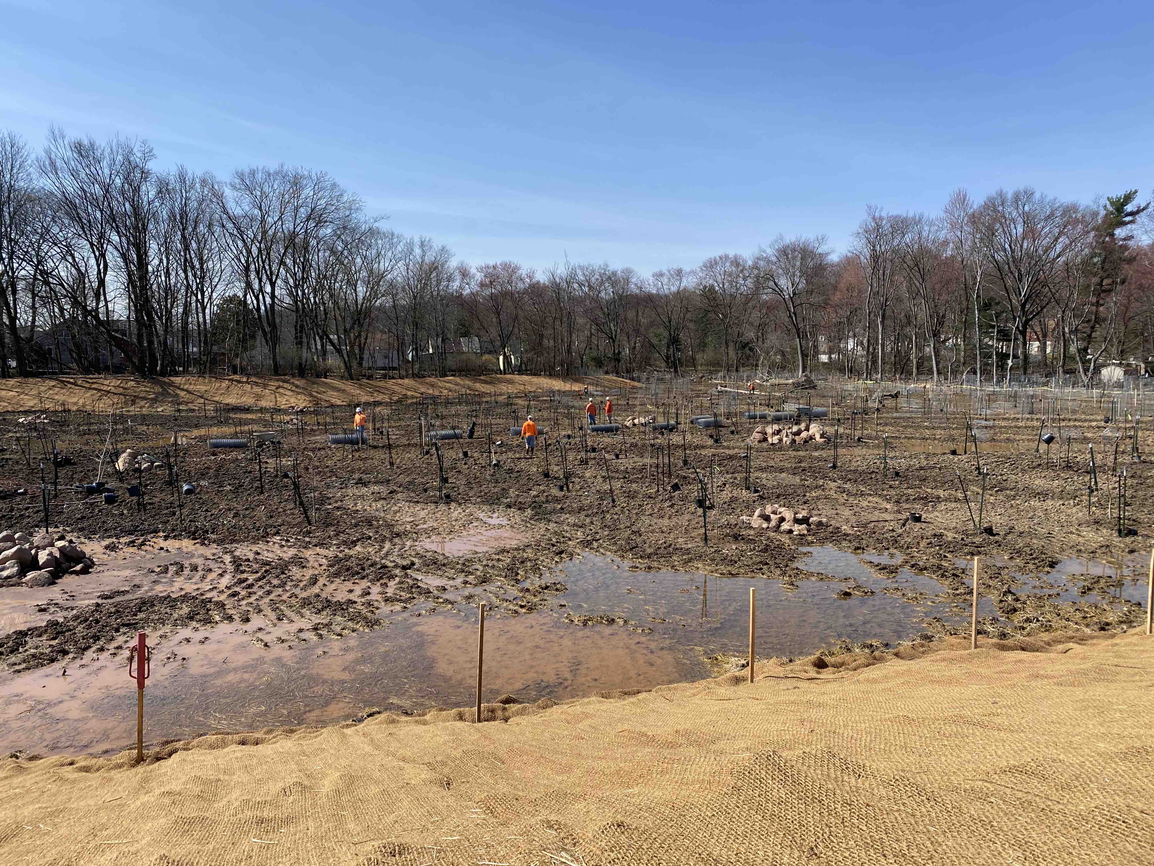 This green infrastructure project will re-establish the natural floodplain wetland and riparian plant communities.