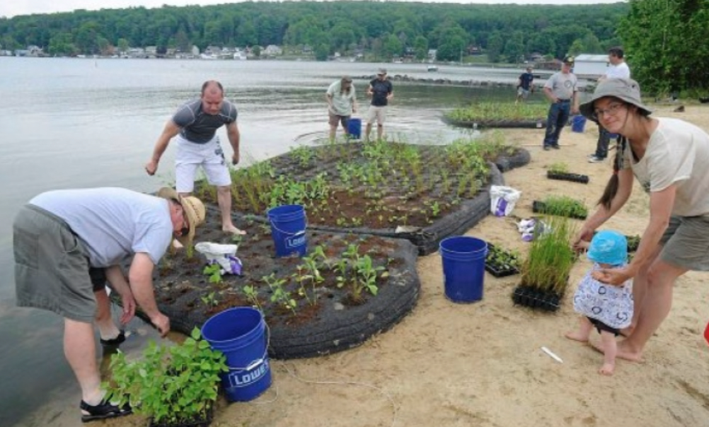Volunteers install native plants in one of the FWIs installed in Harveys Lake. Photo by: Mark Moran, The Citizen’s Voice.