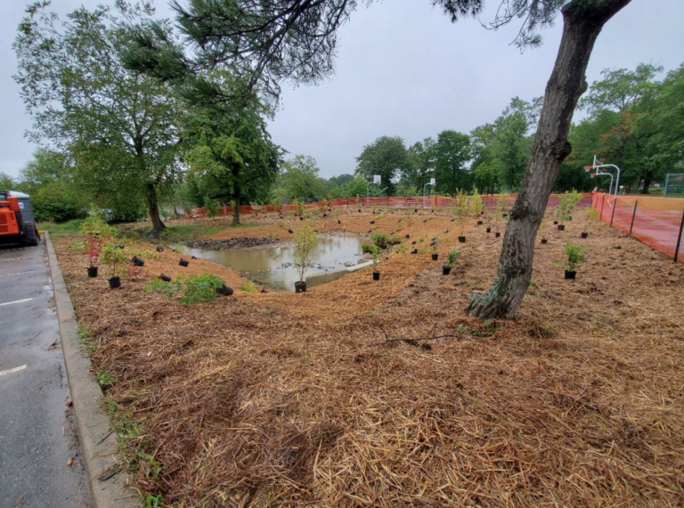 Stormwater Management at Thompson Park Zoo PRINCETON HYDRO