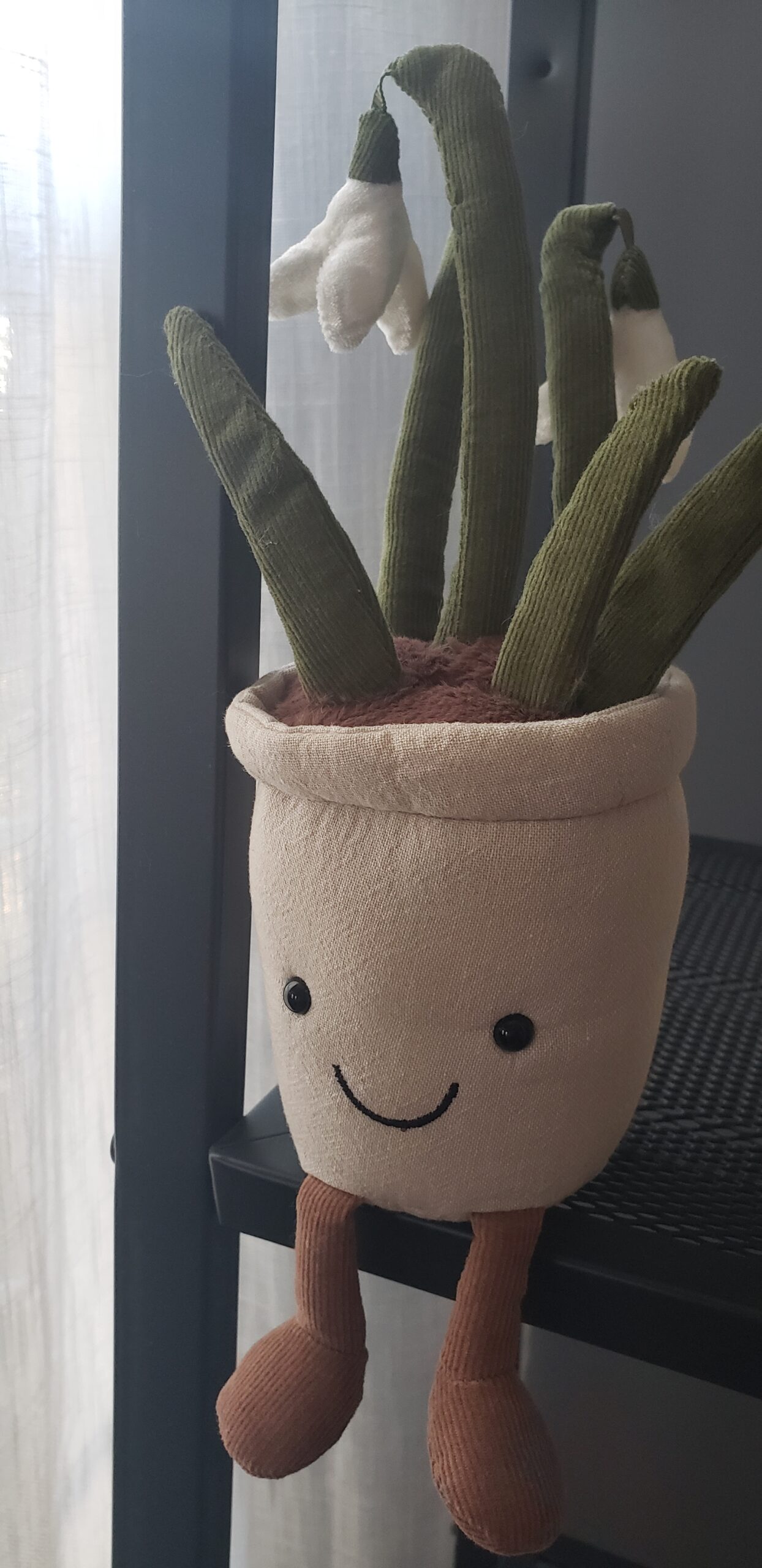 DIY Project of the Season Keep Your Houseplants Healthy & Happy All