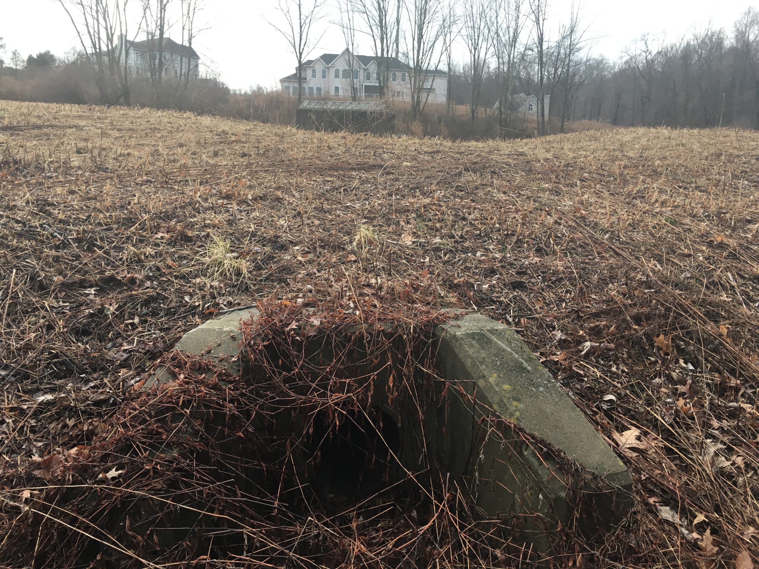 Celebrate World Water Day with this 5-Step DIY Activity - PRINCETON HYDRO