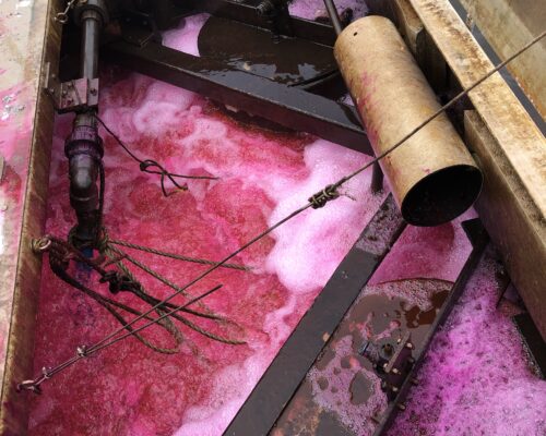 Culver Lake Dye Study