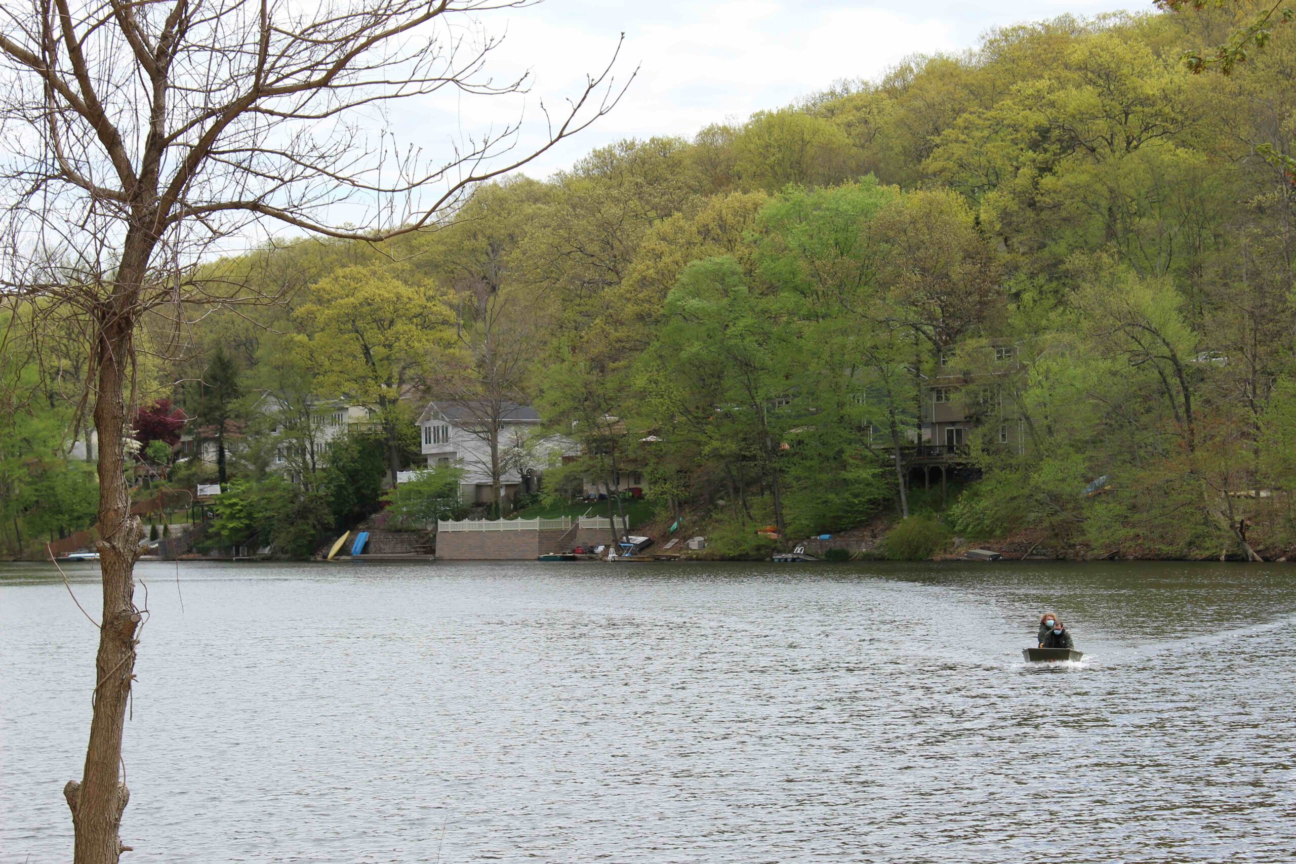 Borough of Ringwood Lakes and Watershed Assessment PRINCETON HYDRO